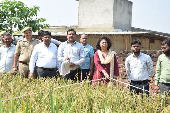 11,770 kg of crop was obtained in 43.3 square meters