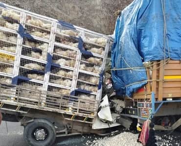 Ratlam News: Pickup vehicle rams into truck parked on Delhi-Mumbai Expressway, one dead