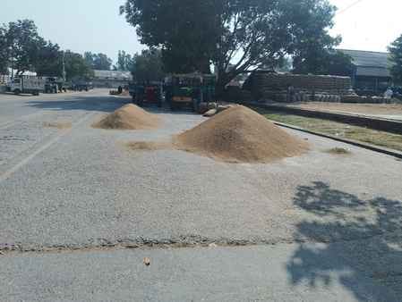 Paddy procurement picks up pace, slow lifting leads to traffic jams
