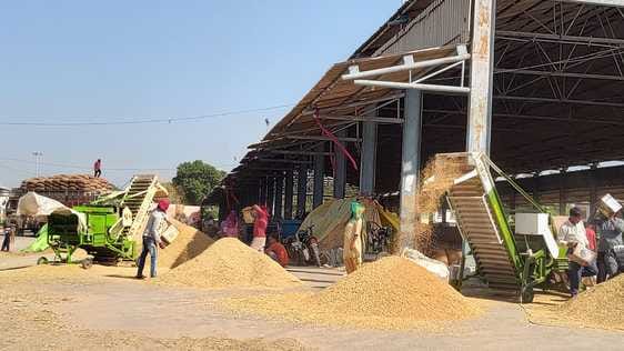 Private purchase of 22 thousand quintals of millet in the district, government could not start