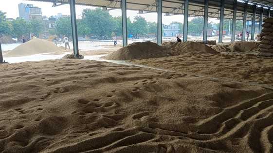 New miller starts procurement in Mandi, 1943 quintals of paddy sold