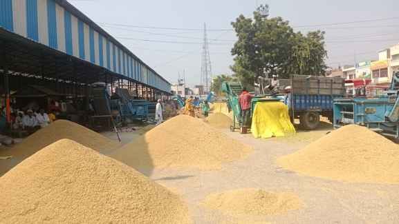 Payments to 19,929 farmers are pending