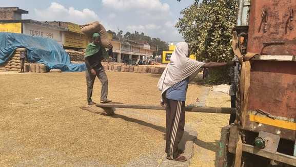 836 crore rupees of paddy reached the accounts of farmers