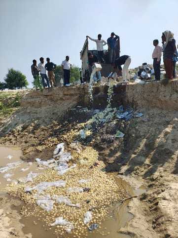 2100 kg of contaminated chhena sweets destroyed, eight samples sent for testing