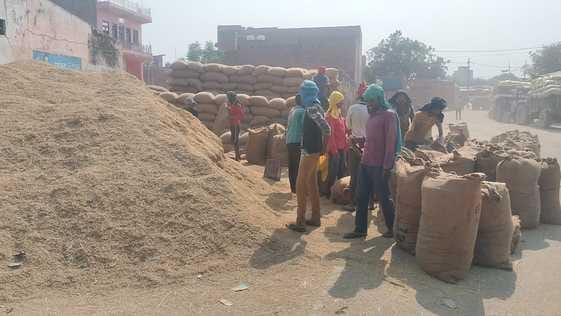 The arrival of paddy in the market increased, farmers also arrived from Mainpuri, Badaun and Kannauj.