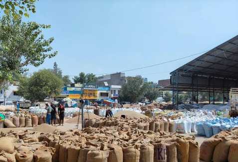2,200 gate passes were cut, 6500 tonnes of millet arrived