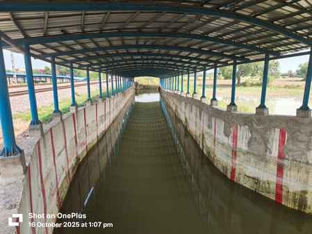 Railway negligence found no money for underpass, people will be in trouble