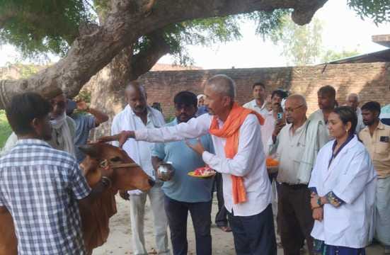 1115 cattle treated free of cost at Pashu Arogya Mela