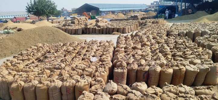Payment made for paddy purchased from 17,000 farmers of the bareilly division