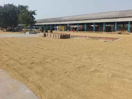 Paddy arrivals in the markets are fast but procurement is slow.
