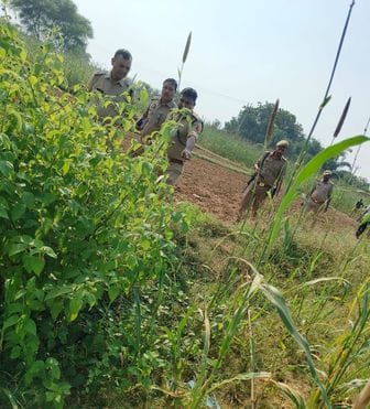Woman's dead body found in field, suspicion of murder