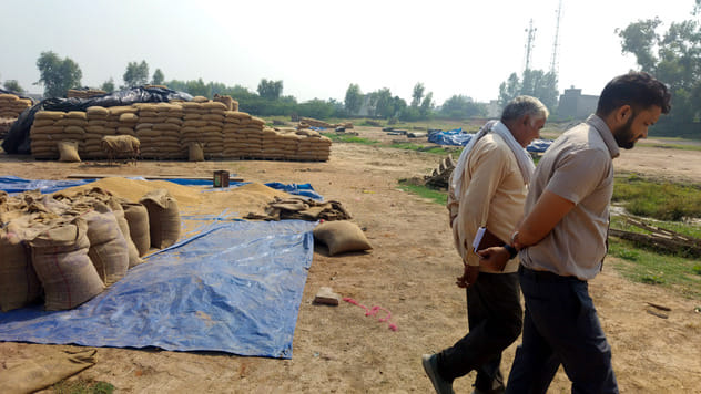 Grain rotting in the government warehouse of Kalayat