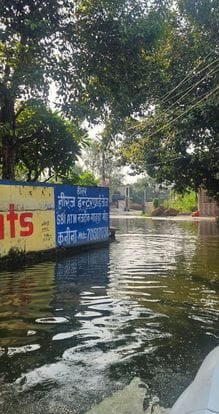 The water of the Holi pond has become a problem for the residents of Kanina.