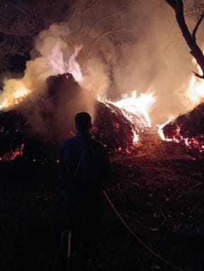 700 maunds of millet sheaves burnt to ashes