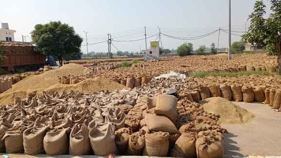 Paddy harvesting picks up pace, 4,14,675 metric tonnes procured