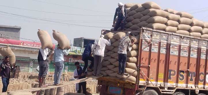 Procurement and lifting started in grain markets for three days, providing relief to farmers