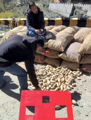 A game of bets on potatoes, machines are deciding the value of hard work.