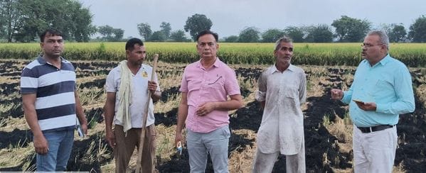 Farmer fined for burning paddy residue