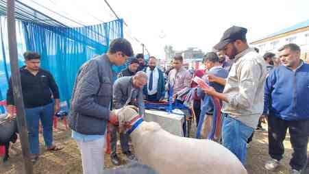 Srinagar, Pashu Mela, Gandherbal