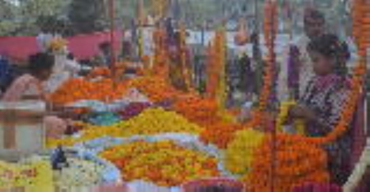 Five hundred quintals of marigolds were sold on Diwali.