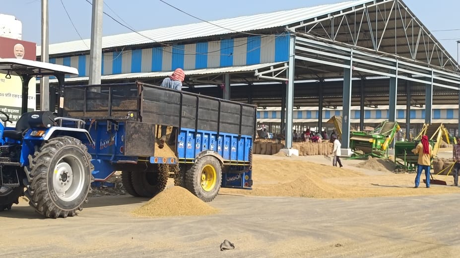 Wheat sowing will gain momentum after 25th
