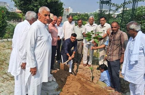Senior citizens planted trees on Diwali