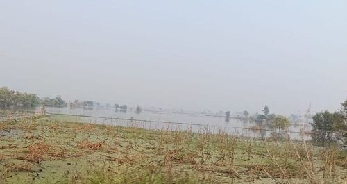 Fireworks become suffocating, AQI crosses 421