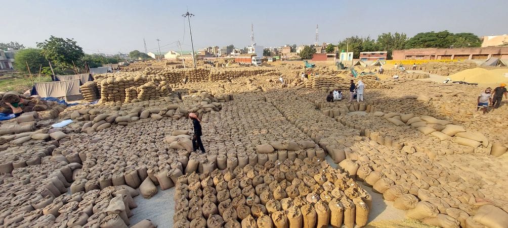 13.80 lakh quintals of paddy sold out of 15.86 lakh quintals, farmers worried due to slow lifting
