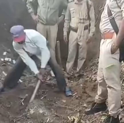 Balaghat News: 3rd accused arrested in tiger smuggling case bones found in drain fear of another tiger's death