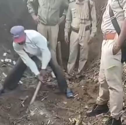 बाघ की हड्डी निकालती वन विभाग की टीम