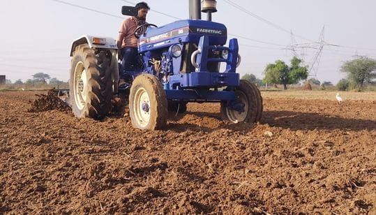 Farmers can sow mustard for a fortnight