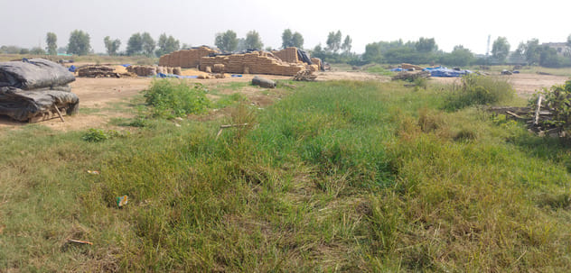Due to negligence of officials, grains are rotting in the warehouse of Kalayat.