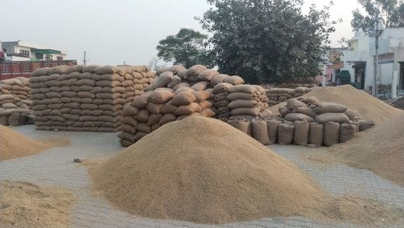 Paddy lifting picks up pace, arrivals fall