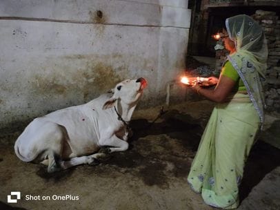 Diwali was celebrated with joy and enthusiasm, offerings were made to Lord Govardhan.