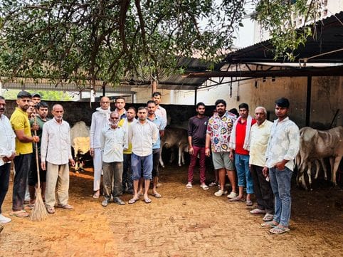 Arya Satsang Mandal Sehlang did voluntary work in Shri Krishna Gaushala.