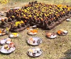 A unique tradition during Govardhan Puja, including laying children in cow dung, has raised concerns