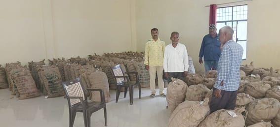 Potato cultivation will be done in 150 hectares, 100 quintal seeds arrived
