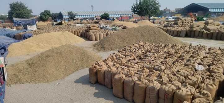 80% of the paddy harvesting season is over.