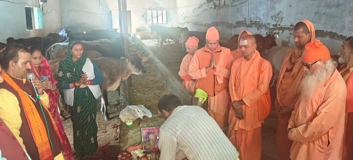 After worshipping cows, we resolved to protect and promote the cow breed.