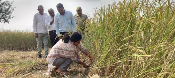 ADM did the assessment by cutting the crop