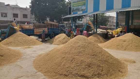 Paddy procurement resumes after three days, with farmers crowding the grain market