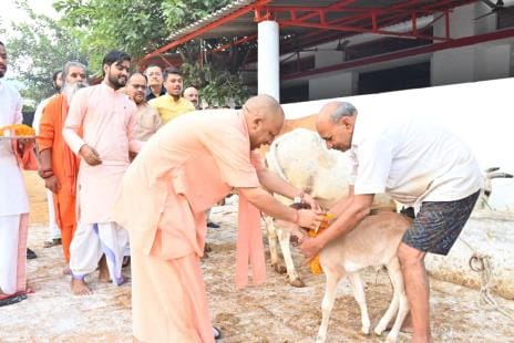 Gorakhpur News: Chief Minister performed Govardhan Puja in the cowshed of Gorakhnath Temple.