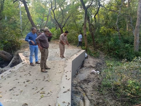 Repair the unpaved paths in the forest and cut down the overgrown bushes
