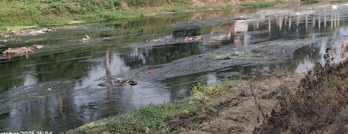 Despite the ban, idols were immersed in the river
