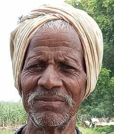 Middlemen are active before the start of government procurement of paddy