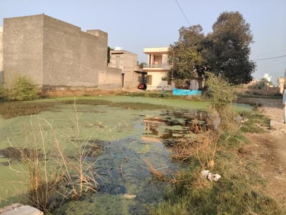 Due to non-starting of disposal, sewerage is overflowing in areas, people are getting worried.