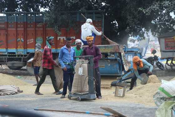 Agencies achieved the target of paddy procurement