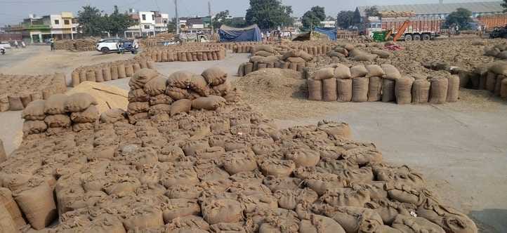9,19,821 metric tonnes of paddy procured in the mandis