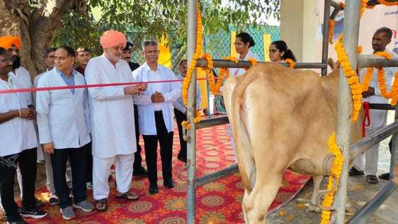 Animals play an important role in agriculture: Rana