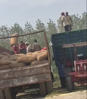 Paddy from Bihar and Uttar Pradesh is being sold in the district